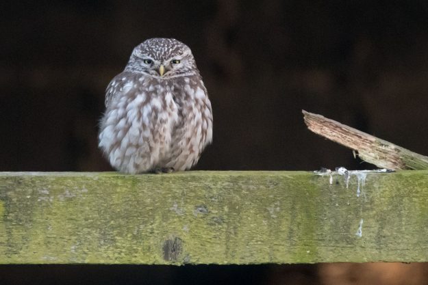 HalifaxScientificSociety-Image-May-17-compressor