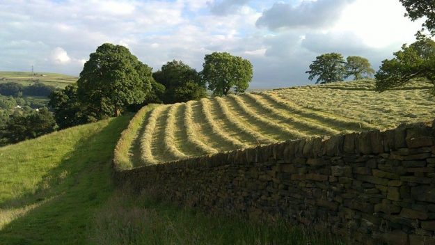 HSS-Image-July-17-compressor